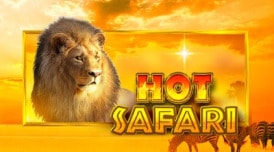 Hot Safari logo