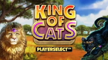 King of Cats Megaways logo